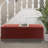 Jahmere Polyester Upholstered Storage Bench-1362456276