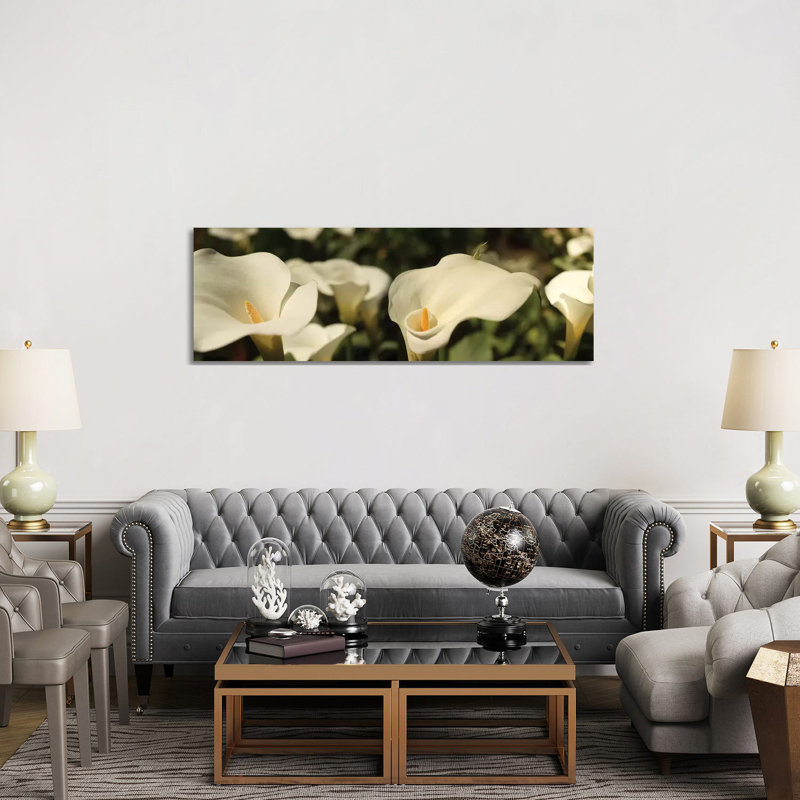 Close-up Of Calla Lily Flowers Growing On Plant I - Wrapped Canvas Panoramic Print, 152.4 cm H x 50.8 cm W x 1.91 cm D