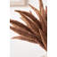 Dried Flower Bunch-119034006-119034007