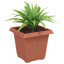  Square Flower Pot 6 Pcs Plastic-354333275-354333276