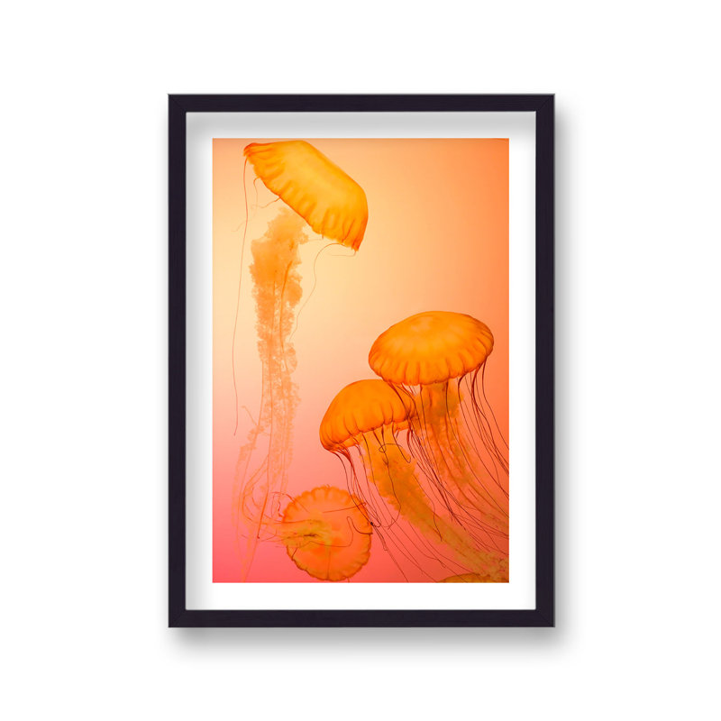 Vibrant Orange Jellyfish by Vouvart - Single Picture Frame Print