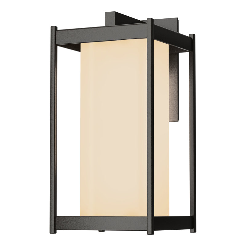 Lanterne murale d'extérieur Cela, H 16,3 po x l 8 po x P 8,9 po, Verre opale, Coastal Natural Iron