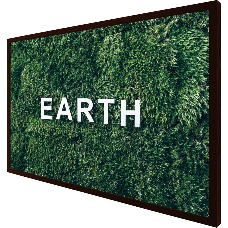 Woodsdale Wellness Earth - Single Picture Frame Print, 76cm H x 114cm W x 4cm D, Brown Framed