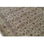 Wool Oriental Area Rug in Beige/Ivory