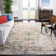 Bazzinotti Oriental Area Rug