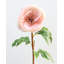 Real Touch Open Pink Peony 21.5"