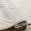 Bronwen Oriental Area Rug-1724180047