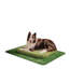 Orthopedic Microfibre Pet Bed-45431229-45408860
