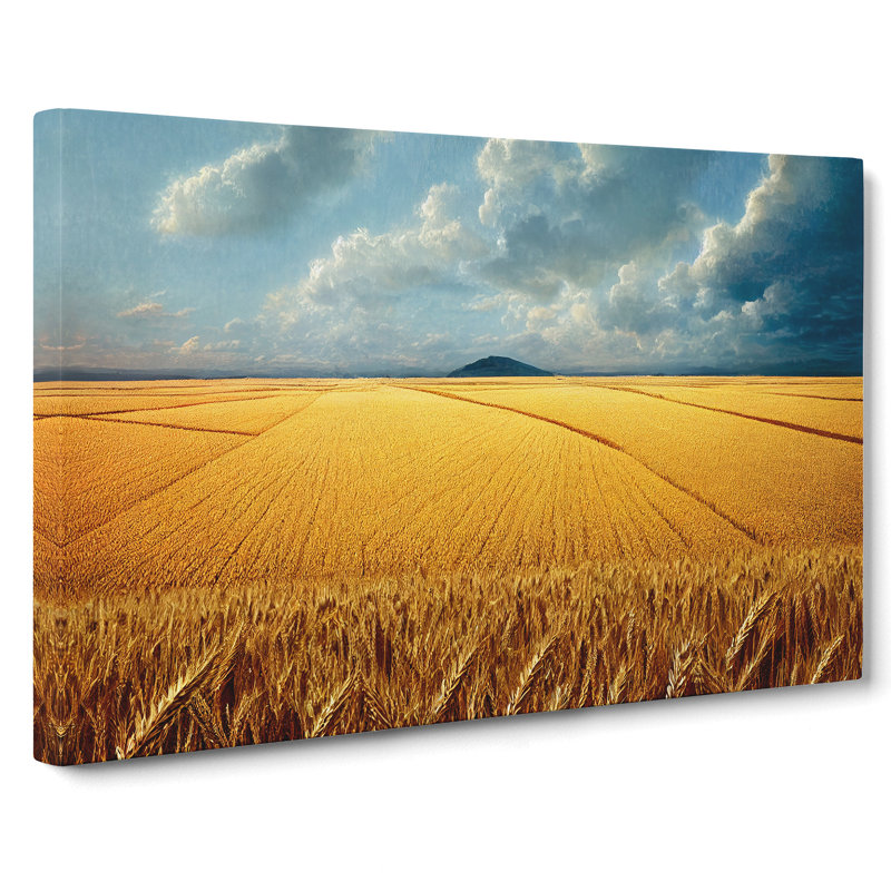 Favourable Wheat Field - Wrapped Canvas, 35cm H x 50cm W x 3cm D