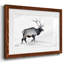 Lone Bull encadré sur papier-770959336-770959339