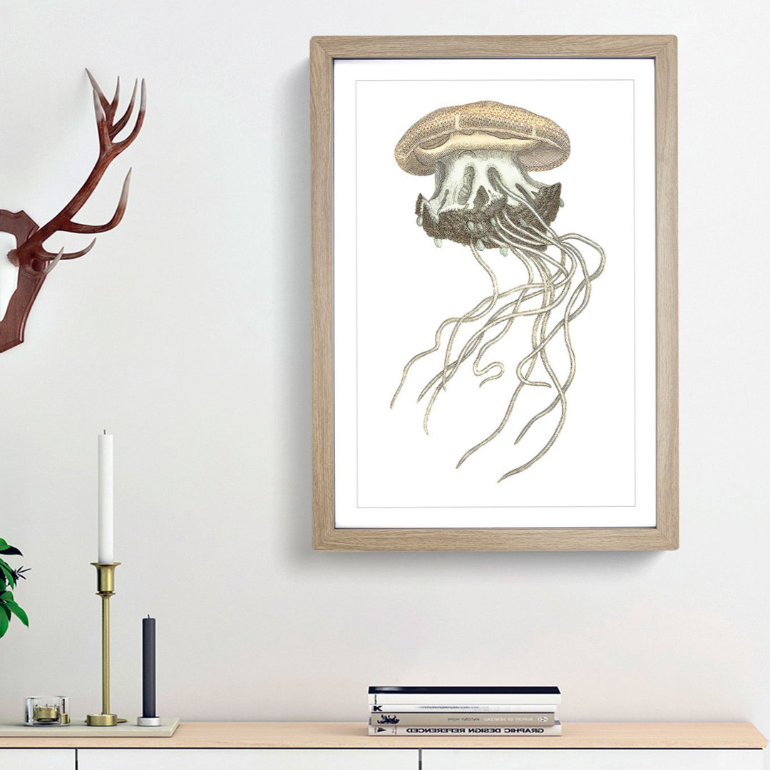 Crown Jellyfish by George Shaw - Framed Print
