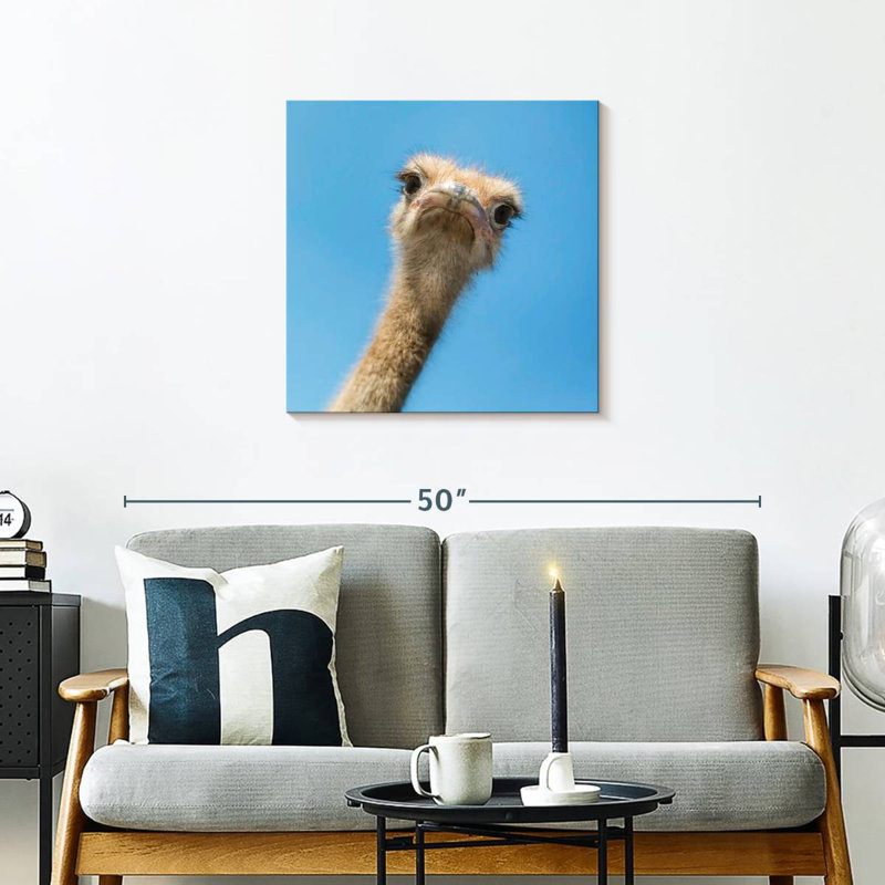 Crowle Curious Ostrich, 24" H x 24" W