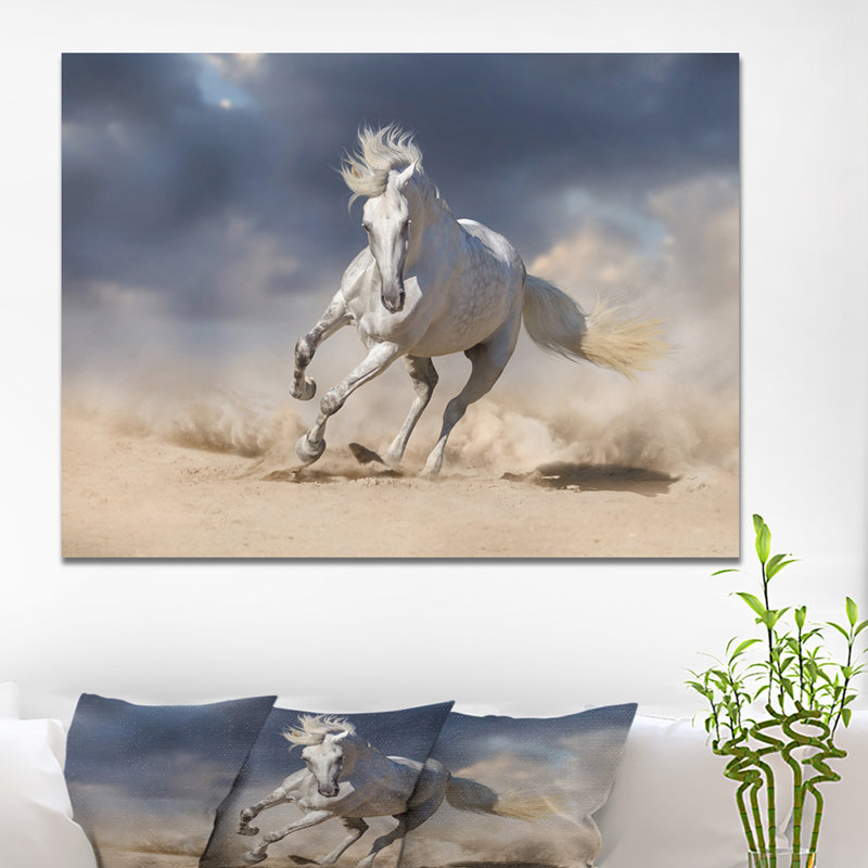 Cheval blanc andalou dans la poussière du désert - impression sur toile tendue, H 30 po x l 40 po x P 1,5 po