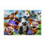« chill cows », reproduction sur toile tendue-26856098
