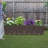 Jacylyn Plastic Indoor / Outdoor Planter Box