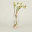 Aurora Handmade Glass Table Vase-505317137-505317141