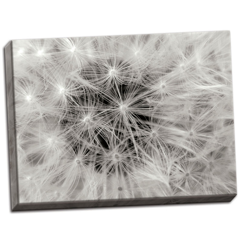 " Dandelion 2 " by Jim Christensen