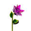 Piquet de jardin Mellon-260584936