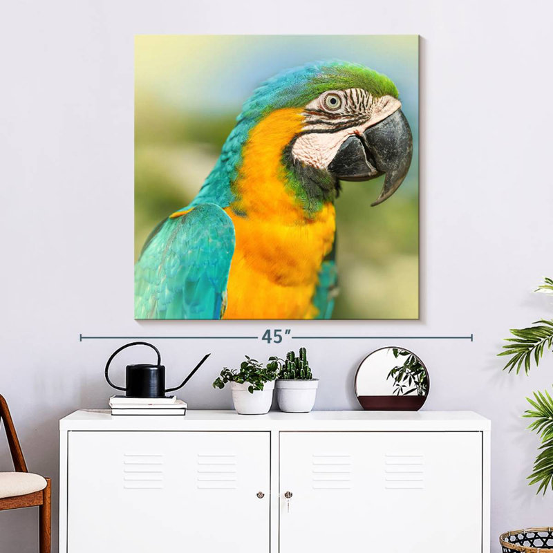 Brampt Parrot, 33" H x 33" W