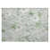 Machine Washable Indoor/Outdoor Claudian ACN1502 Mint Rug