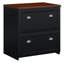 Osvald 2-Drawer Lateral Filing Cabinet-314374294