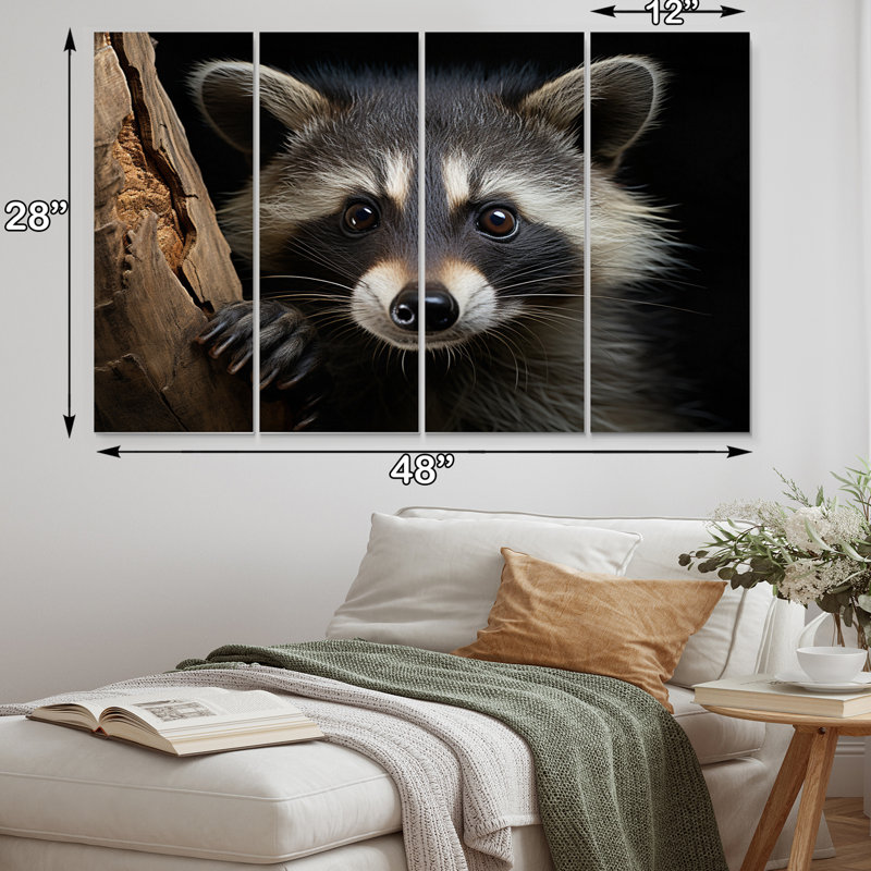 Curious Raccoon III sur toile, reproduction de 4 pièces