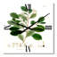 Horloge murale-1127174616
