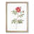 Oak Framed selected