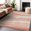 Chayden ACN1099 Machine Washable Indoor/Outdoor Salmon Rug-100140972