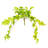  25" Artificial Manjula Pothos Bush