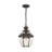 Alexavier Outdoor Hanging Lantern-809966412