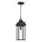 Madrid - 1-Light Outdoor Pendant - Clear Glass Shade - Black Finish