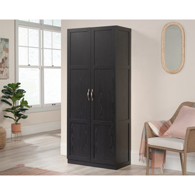 Armoire de rangement Vonice 29,69 po L