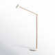 Dalila 60.5'' Dimmable LED Floor Lamp