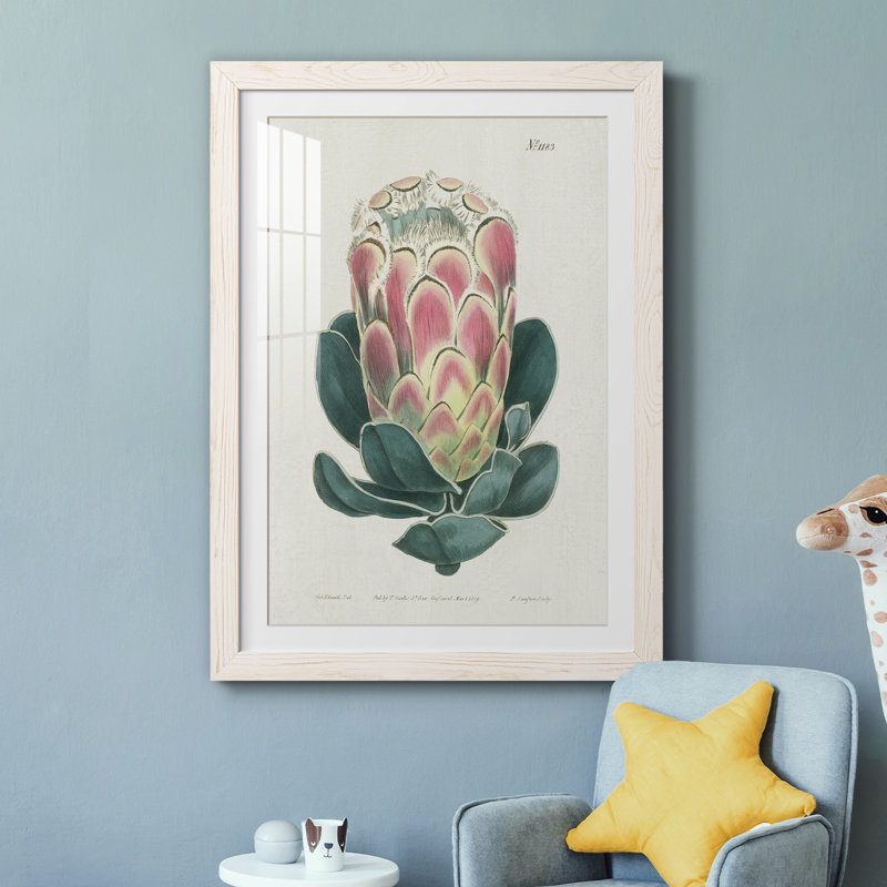 Protea N83 - Peinture encadrée, Cadre blanc, H 44 po x l 31 po x P 1 po