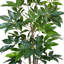 Arbre Schefflera en pot de Fiberstone