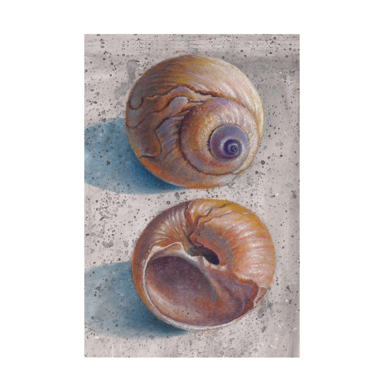Bolog Donna Basile Moon Snails Canvas Art, 47" H x 30" W