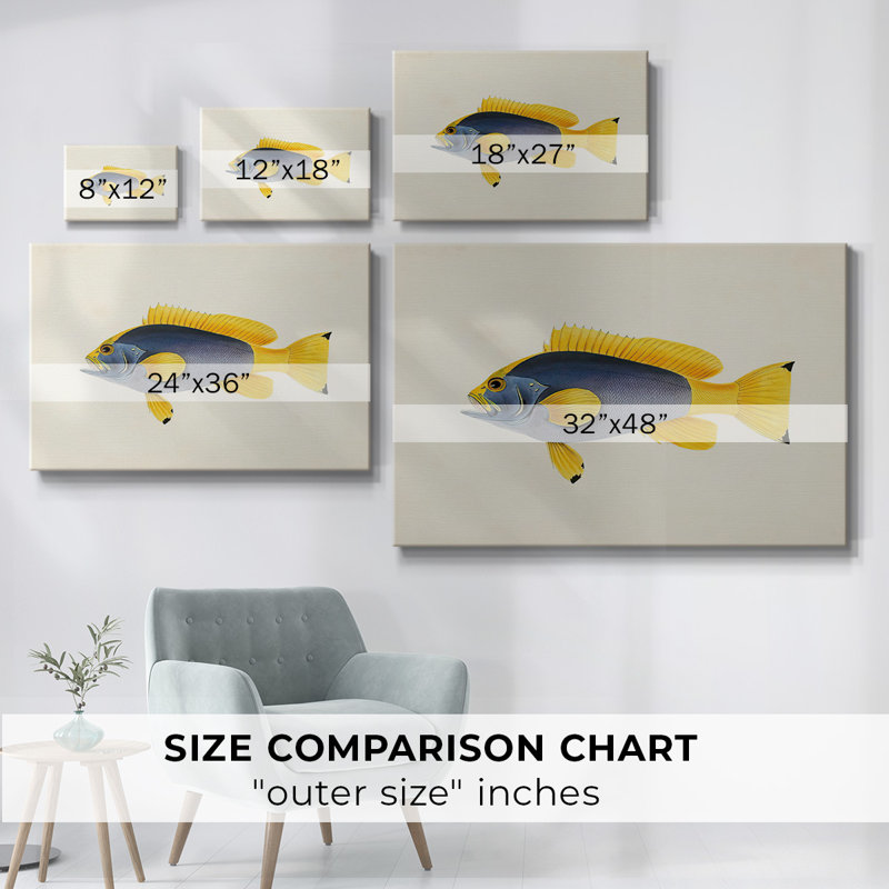 Toile tendue avec collection de poissons tropicaux, H 8 po x l 12 po