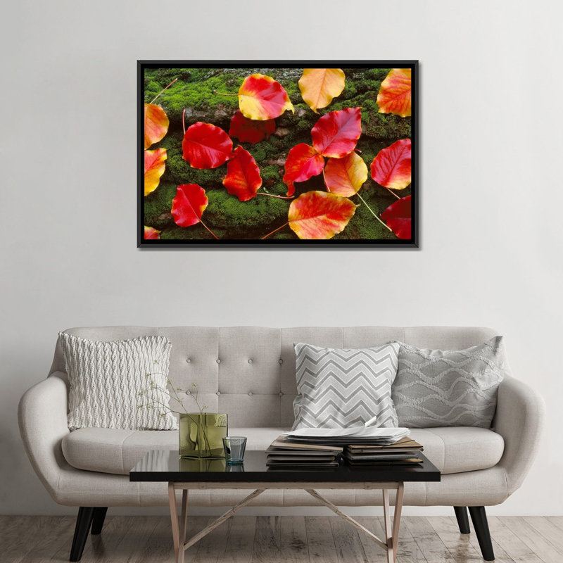 «Fall Leaves Sacramento California», reproduction de photo sur toile, Toile encadrée noire, H 32 po x l 48 po x P 1,5 po