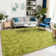 Grass Green Area Rug for Bedroom, Fluffy Shag Rug for Kids Play Room, Non-Slip Carpet for Nursery Living Room Dorm Office