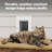 PetSafe Wall Entry Pet Door, Medium-124300878