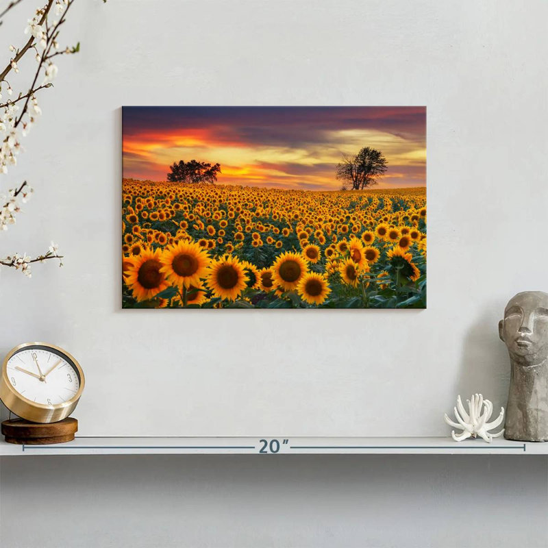 Crépuscule champ de tournesol Alvord, H 8 po x l 12 po