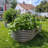 Anleolife Galvanized Steel Garden Bed 8x4x2ft Oval Gray, Set of 6