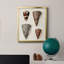 Cone Shell Collection I, toile encadrée de qualité supérieure - prête à être accrochée-1029942565-1029942566