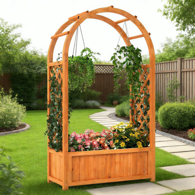 146cm H x 83cm W Wood Arched