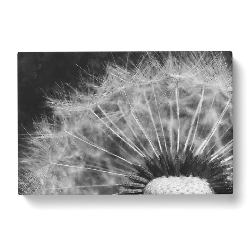 Dandelion Seed Sketch Painting - Wrapped Canvas, 35cm H x 50cm W x 3cm D