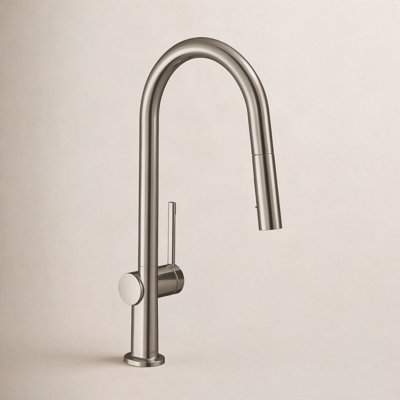 Hansgrohe Talis N A-Style Pull-Down Faucet
