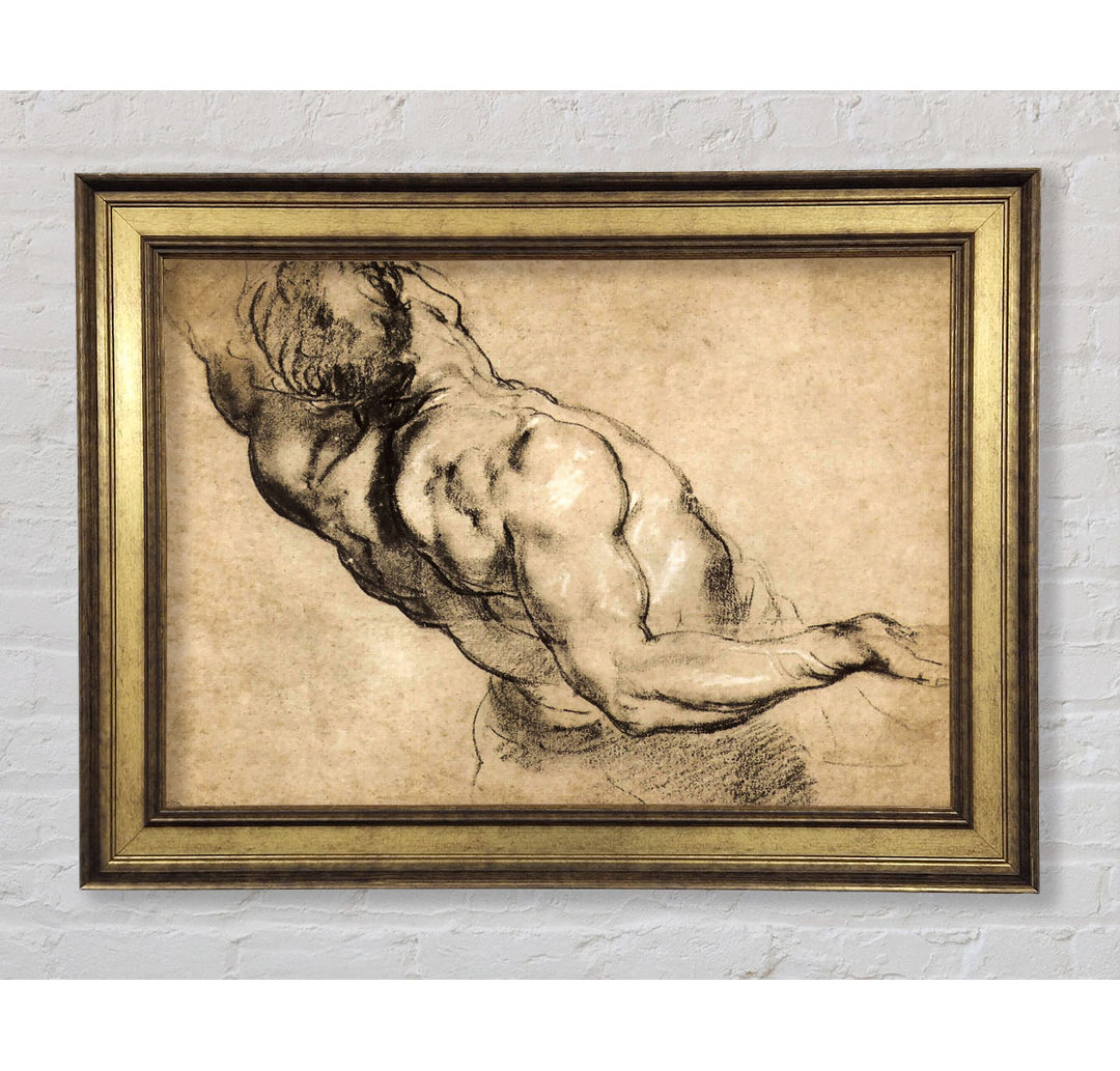 Rubens Study Of Mans Torso - Einzelner Bilderrahmen Kunstdrucke