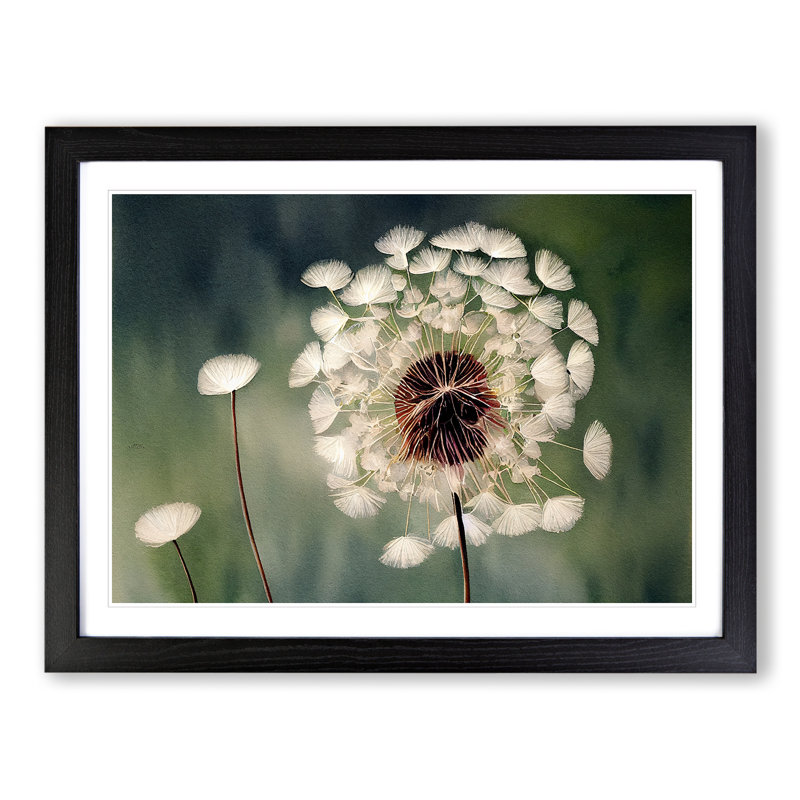 Fascinating Dandelion Flowers - Single Picture Frame Print, Black Framed, 25cm H x 34cm W x 2cm D