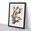 Woodpeckers by John James Audubon - Framed Print-55614547-55614550